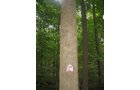Property photo 18 - LAND AUCTION, 118.508+/- Acres offered in 2 Tracts