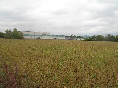 Property photo 1 - LAND AUCTION, 118.508+/- Acres offered in 2 Tracts