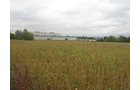 Property photo 1 - LAND AUCTION, 118.508+/- Acres offered in 2 Tracts