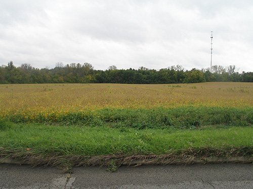 Property photo 5 - LAND AUCTION, 118.508+/- Acres offered in 2 Tracts