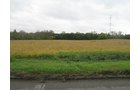 Property photo 5 - LAND AUCTION, 118.508+/- Acres offered in 2 Tracts