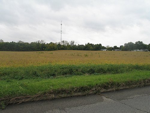 Property photo 6 - LAND AUCTION, 118.508+/- Acres offered in 2 Tracts