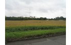 Property photo 6 - LAND AUCTION, 118.508+/- Acres offered in 2 Tracts