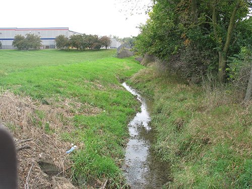 Property photo 8 - LAND AUCTION, 118.508+/- Acres offered in 2 Tracts