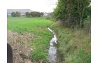 Property photo 8 - LAND AUCTION, 118.508+/- Acres offered in 2 Tracts