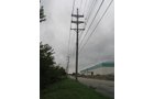 Property photo 32 - LAND AUCTION, 118.508+/- Acres offered in 2 Tracts