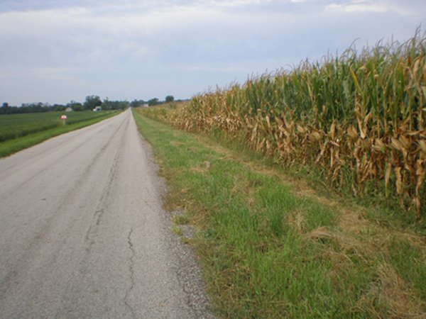 LAND AUCTION, 200+/- Acres offered in 4 Tracts