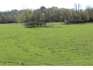 Property photo 14 - REAL ESTATE & PERSONAL PROPERTY AUCTION, 95.5+/- Acres offered in 2 Tracts