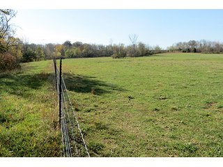 Property photo 13 - REAL ESTATE & PERSONAL PROPERTY AUCTION, 95.5+/- Acres offered in 2 Tracts