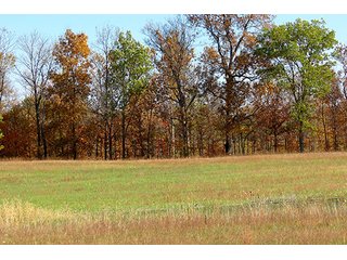 Property photo 6 - REAL ESTATE & PERSONAL PROPERTY AUCTION, 95.5+/- Acres offered in 2 Tracts