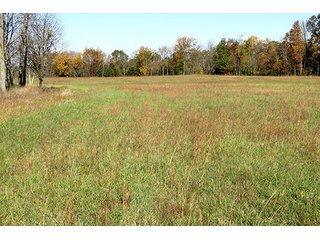 Property photo 5 - REAL ESTATE & PERSONAL PROPERTY AUCTION, 95.5+/- Acres offered in 2 Tracts