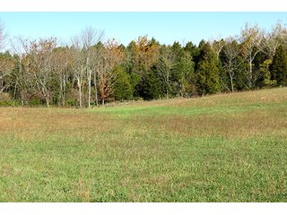 Property photo 9 - REAL ESTATE & PERSONAL PROPERTY AUCTION, 95.5+/- Acres offered in 2 Tracts