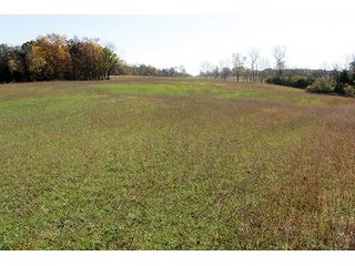 Property photo 8 - REAL ESTATE & PERSONAL PROPERTY AUCTION, 95.5+/- Acres offered in 2 Tracts