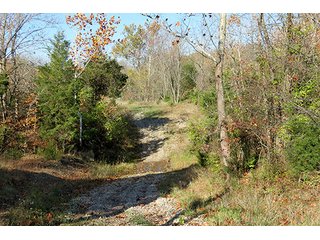 Property photo 1 - REAL ESTATE & PERSONAL PROPERTY AUCTION, 95.5+/- Acres offered in 2 Tracts