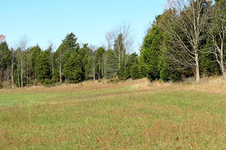 REAL ESTATE & PERSONAL PROPERTY AUCTION, 95.5+/- Acres offered in 2 Tracts