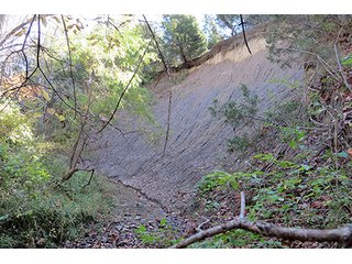 Property photo 3 - REAL ESTATE & PERSONAL PROPERTY AUCTION, 95.5+/- Acres offered in 2 Tracts