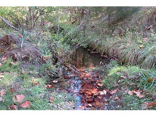 Property photo 12 - REAL ESTATE & PERSONAL PROPERTY AUCTION, 95.5+/- Acres offered in 2 Tracts