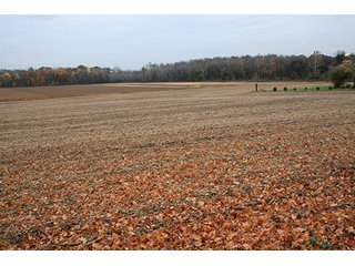Property photo 8 - Southern Michigan Land Auction - 2 Auctions in 1 - 229+/- Acres and 66+/- Acres