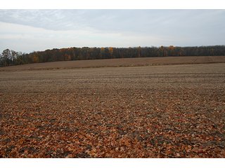 Property photo 4 - Southern Michigan Land Auction - 2 Auctions in 1 - 229+/- Acres and 66+/- Acres