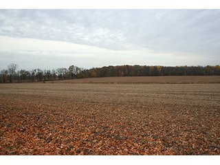 Property photo 18 - Southern Michigan Land Auction - 2 Auctions in 1 - 229+/- Acres and 66+/- Acres