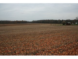 Property photo 15 - Southern Michigan Land Auction - 2 Auctions in 1 - 229+/- Acres and 66+/- Acres