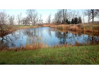 Property photo 1 - LAND AUCTION, 233+/- Acres offered in 6 Tracts