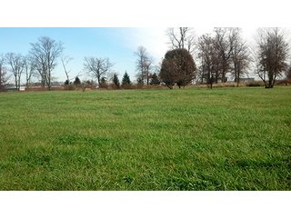 Property photo 3 - LAND AUCTION, 233+/- Acres offered in 6 Tracts