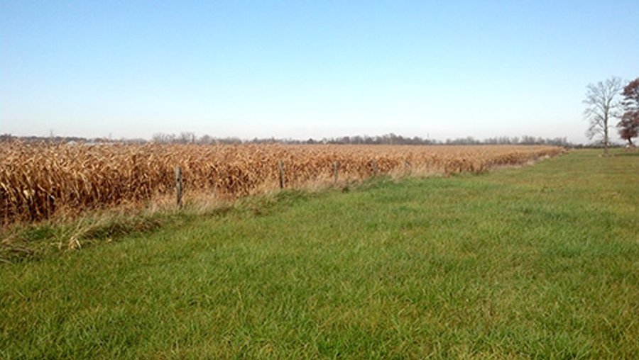 LAND AUCTION, 233+/- Acres offered in 6 Tracts