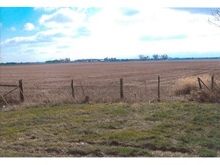 Tract 1 - View from the north looking south - REAL ESTATE AUCTION, 178.9+/- Acres offered in 3 Tracts