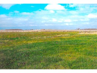 Tract 3 - Pasture - REAL ESTATE AUCTION, 178.9+/- Acres offered in 3 Tracts
