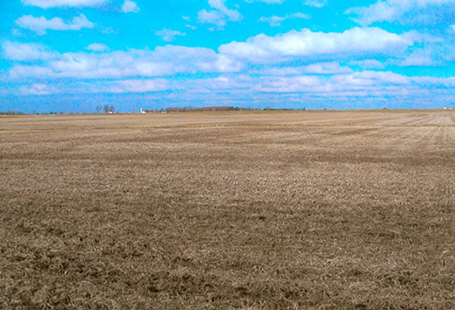 REAL ESTATE AUCTION, 178.9+/- Acres offered in 3 Tracts