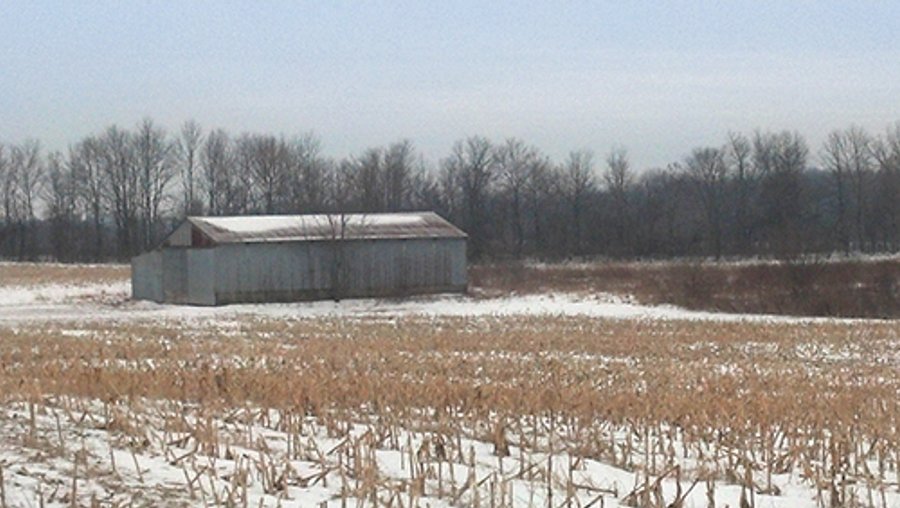 For sale: 40 Acre Farm - Williamsburg, Indiana