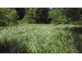 18.8+/- acres of scenic, rolling land in Noble Township, Noble County near Camp Lutherhaven.  There are 8.8+/- acres of tillable income producing land as well as 10+/- acres of wooded land with mature trees.  Property offers a fantastic building site with picturesque views and potential for a walk-out basement and pond.  The setting is very private with 3 sides having tree-lined borders.  Nearly 900' of frontage on the Elkhart River provides access to miles and miles of open water for avid kayakers.  This is the ideal setting for the outdoor enthusiast, fisherman, and hunter with wildlife in abundance.    

 - 18.8 Acres of Scenic, Rolling Land - Tillable and Wooded