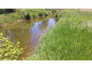 18.8+/- acres of scenic, rolling land in Noble Township, Noble County near Camp Lutherhaven.  There are 8.8+/- acres of tillable income producing land as well as 10+/- acres of wooded land with mature trees.  Property offers a fantastic building site with picturesque views and potential for a walk-out basement and pond.  The setting is very private with 3 sides having tree-lined borders.  Nearly 900' of frontage on the Elkhart River provides access to miles and miles of open water for avid kayakers.  This is the ideal setting for the outdoor enthusiast, fisherman, and hunter with wildlife in abundance.    

 - 18.8 Acres of Scenic, Rolling Land - Tillable and Wooded