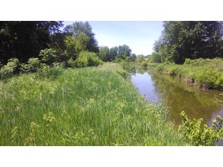 18.8+/- acres of scenic, rolling land in Noble Township, Noble County near Camp Lutherhaven.  There are 8.8+/- acres of tillable income producing land as well as 10+/- acres of wooded land with mature trees.  Property offers a fantastic building site with picturesque views and potential for a walk-out basement and pond.  The setting is very private with 3 sides having tree-lined borders.  Nearly 900' of frontage on the Elkhart River provides access to miles and miles of open water for avid kayakers.  This is the ideal setting for the outdoor enthusiast, fisherman, and hunter with wildlife in abundance.    

 - 18.8 Acres of Scenic, Rolling Land - Tillable and Wooded
