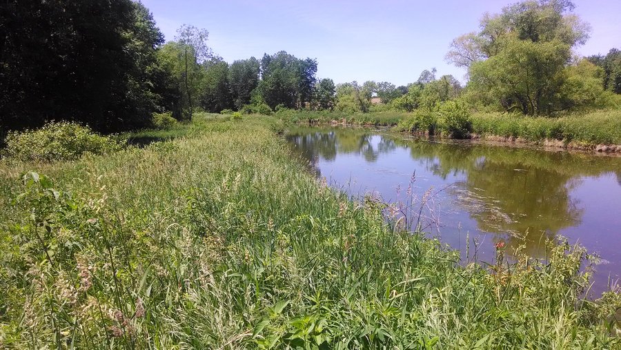 For sale: 18.8 Acres of Scenic, Rolling Land - Tillable and Wooded - Wolf Lake, IN