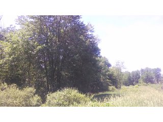 18.8+/- acres of scenic, rolling land in Noble Township, Noble County near Camp Lutherhaven.  There are 8.8+/- acres of tillable income producing land as well as 10+/- acres of wooded land with mature trees.  Property offers a fantastic building site with picturesque views and potential for a walk-out basement and pond.  The setting is very private with 3 sides having tree-lined borders.  Nearly 900' of frontage on the Elkhart River provides access to miles and miles of open water for avid kayakers.  This is the ideal setting for the outdoor enthusiast, fisherman, and hunter with wildlife in abundance.    

 - 18.8 Acres of Scenic, Rolling Land - Tillable and Wooded