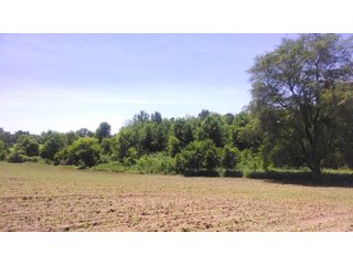 18.8+/- acres of scenic, rolling land in Noble Township, Noble County near Camp Lutherhaven.  There are 8.8+/- acres of tillable income producing land as well as 10+/- acres of wooded land with mature trees.  Property offers a fantastic building site with picturesque views and potential for a walk-out basement and pond.  The setting is very private with 3 sides having tree-lined borders.  Nearly 900' of frontage on the Elkhart River provides access to miles and miles of open water for avid kayakers.  This is the ideal setting for the outdoor enthusiast, fisherman, and hunter with wildlife in abundance.    

 - 18.8 Acres of Scenic, Rolling Land - Tillable and Wooded