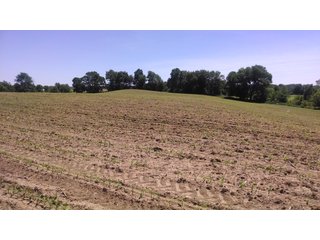 Property photo 1 - 18.8 Acres of Scenic, Rolling Land - Tillable and Wooded