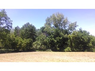 18.8+/- acres of scenic, rolling land in Noble Township, Noble County near Camp Lutherhaven.  There are 8.8+/- acres of tillable income producing land as well as 10+/- acres of wooded land with mature trees.  Property offers a fantastic building site with picturesque views and potential for a walk-out basement and pond.  The setting is very private with 3 sides having tree-lined borders.  Nearly 900' of frontage on the Elkhart River provides access to miles and miles of open water for avid kayakers.  This is the ideal setting for the outdoor enthusiast, fisherman, and hunter with wildlife in abundance.    

 - 18.8 Acres of Scenic, Rolling Land - Tillable and Wooded