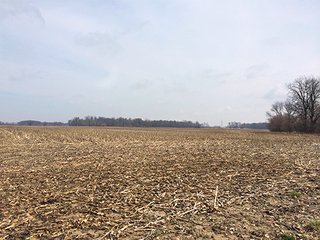 84+/- Acres Nearly level to gently rolling farmland.

Seller requires a 3 - 5 year leaseback, call for details. - 33+/- Acres in Henry County, IN & 51+/- Acres in Madison County, IN