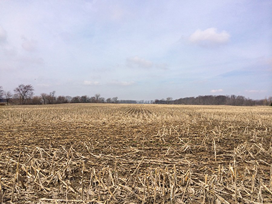 For sale: 33+/- Acres in Henry County, IN & 51+/- Acres in Madison County, IN - Markleville, IN