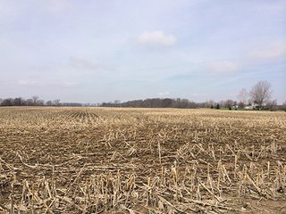 84+/- Acres Nearly level to gently rolling farmland.

Seller requires a 3 - 5 year leaseback, call for details. - 33+/- Acres in Henry County, IN & 51+/- Acres in Madison County, IN