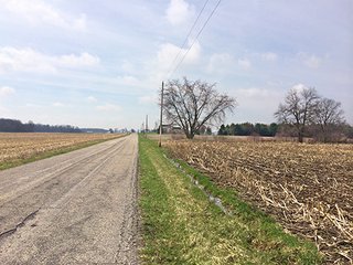 84+/- Acres Nearly level to gently rolling farmland.

Seller requires a 3 - 5 year leaseback, call for details. - 33+/- Acres in Henry County, IN & 51+/- Acres in Madison County, IN