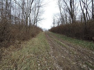 111+/- Acres with 37.2+/- tillable acres.  Attractive recreational offering with farm income.  Great property for 4 wheeling, hunting, hiking, farming, and food plots.  Plenty of seclusion to enjoy the wildlife here!  About 1080' of road frontage on US 35.

Possession at closing. - 111+/- Acres with 37.2+/- Tillable Acres (Excellent Hunting and Recreation)