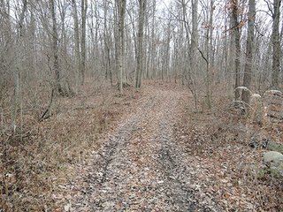 111+/- Acres with 37.2+/- tillable acres.  Attractive recreational offering with farm income.  Great property for 4 wheeling, hunting, hiking, farming, and food plots.  Plenty of seclusion to enjoy the wildlife here!  About 1080' of road frontage on US 35.

Possession at closing. - 111+/- Acres with 37.2+/- Tillable Acres (Excellent Hunting and Recreation)
