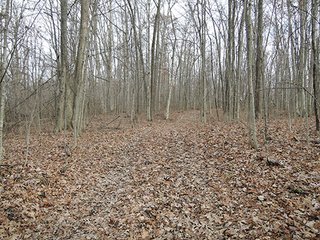 111+/- Acres with 37.2+/- tillable acres.  Attractive recreational offering with farm income.  Great property for 4 wheeling, hunting, hiking, farming, and food plots.  Plenty of seclusion to enjoy the wildlife here!  About 1080' of road frontage on US 35.

Possession at closing. - 111+/- Acres with 37.2+/- Tillable Acres (Excellent Hunting and Recreation)