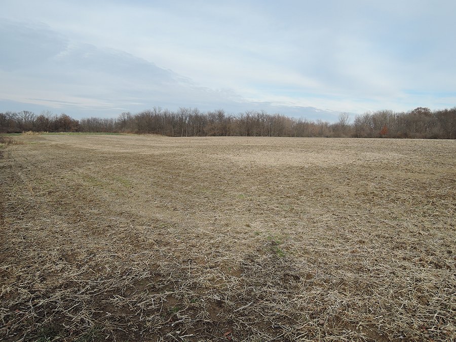 For sale: 111+/- Acres with 37.2+/- Tillable Acres (Excellent Hunting and Recreation) - Mt. Pleasant