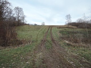 111+/- Acres with 37.2+/- tillable acres.  Attractive recreational offering with farm income.  Great property for 4 wheeling, hunting, hiking, farming, and food plots.  Plenty of seclusion to enjoy the wildlife here!  About 1080' of road frontage on US 35.

Possession at closing. - 111+/- Acres with 37.2+/- Tillable Acres (Excellent Hunting and Recreation)