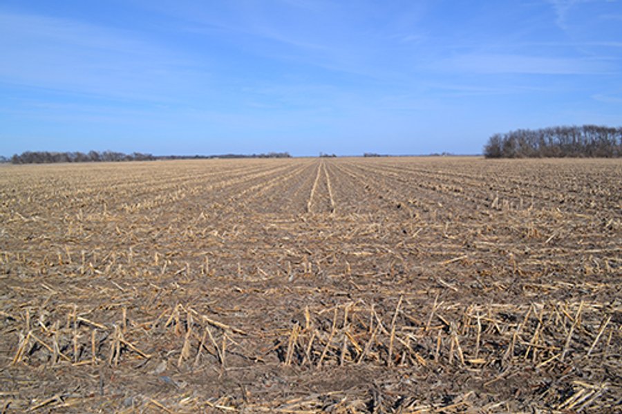 For sale: 156.815+/- Acre Grain Farm - Lowell, Indiana